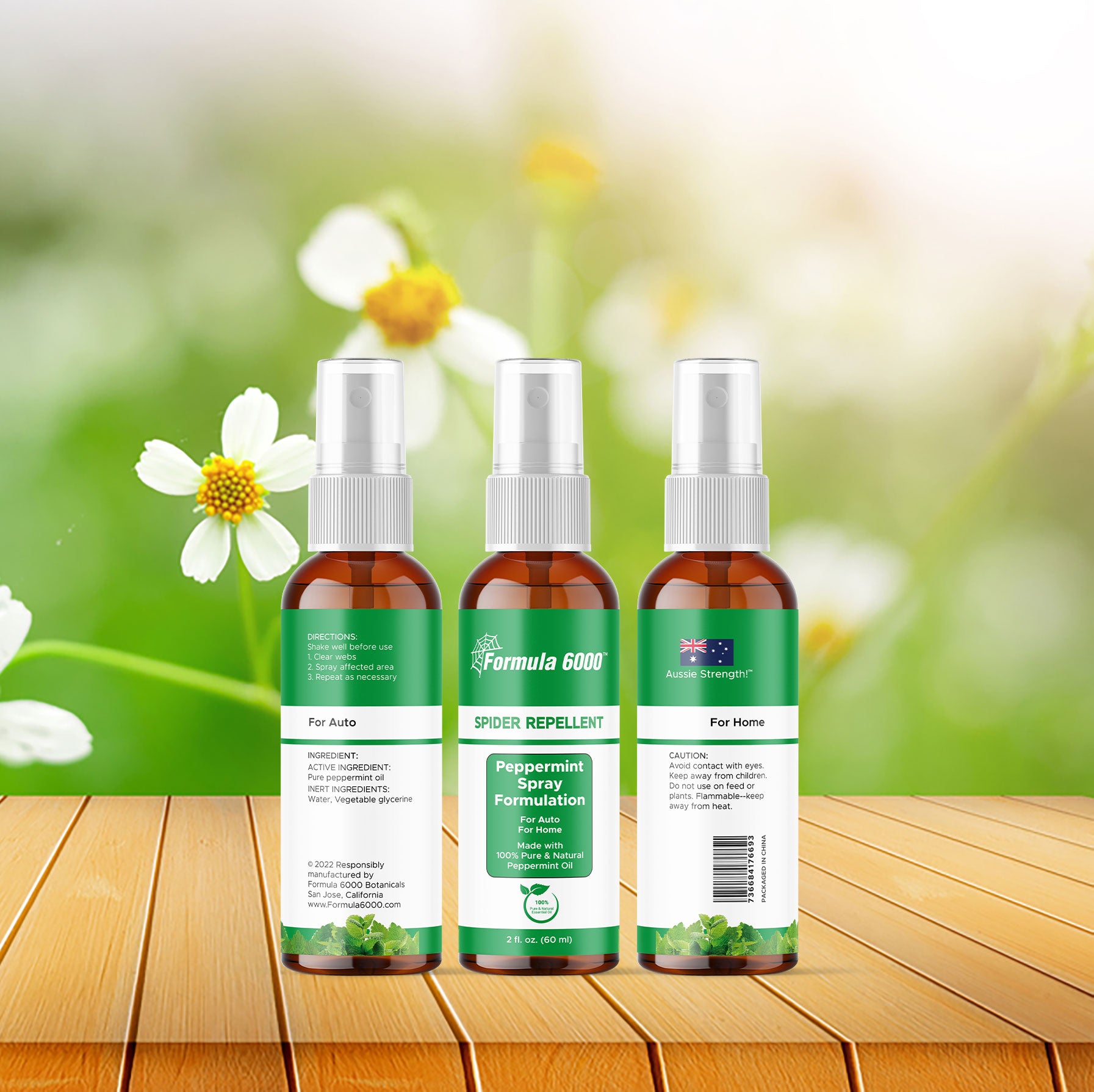 peppermint plant spider repellent Formula 6000 - Single 60 ml (2 oz) Peppermint Oil Spider Repellent